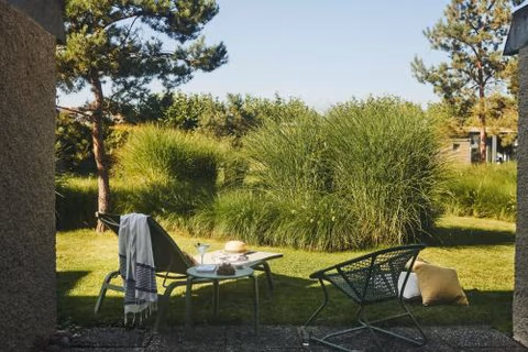 Hotel Bad Murtensee — foto 6