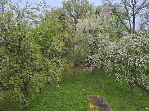 Villa Küchwald — foto 4