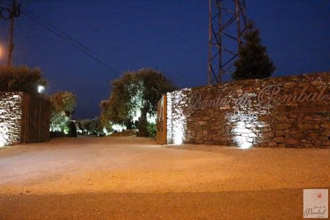 Quinta do Pombal - Douro - Camila's — foto 5