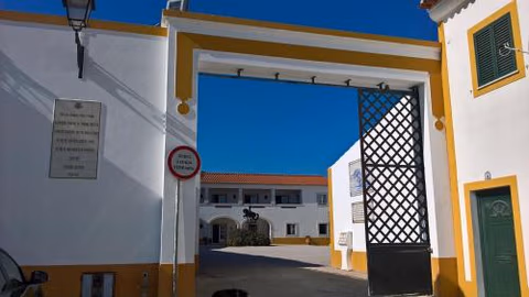 Lusitanus — foto 1