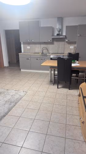 Appartamento VACANZE vicino Locarno — foto 3
