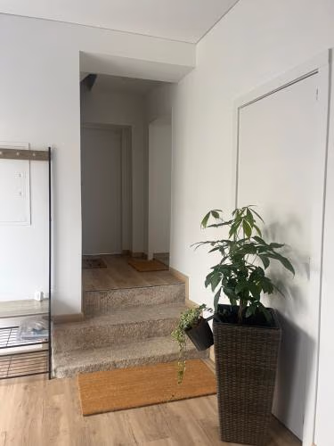 Friend's House — photo 5