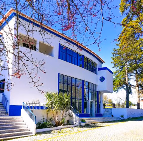 Termas da Sulfurea — photo 1