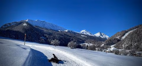 B&B Villa Stelvio — foto 5