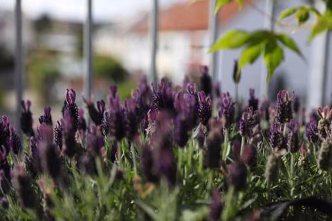 Pegnitz Apartement — foto 5