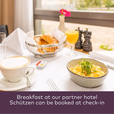 Hotel Schiff am Rhein — foto 2