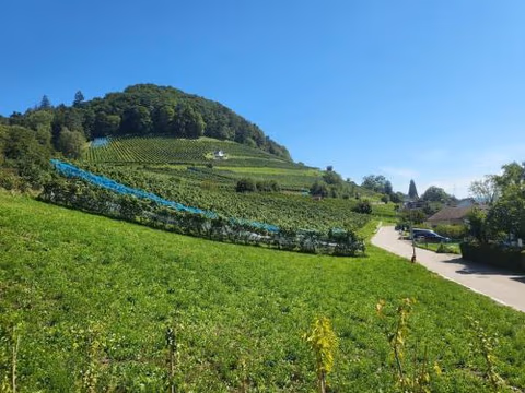 Schöne Einliegerwohnung 200m vom Wasser entfernt — foto 3