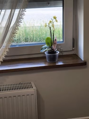 Apartamenty Stara Cegła — foto 2