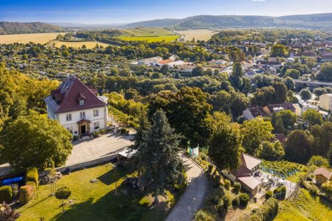 Flair Hotel Villa Ilske — foto 2