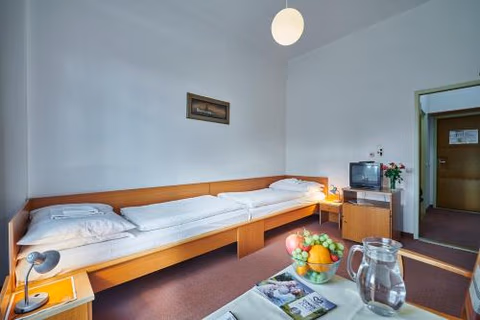 Hotel Palace - KÚPELE SLIAČ — foto 7