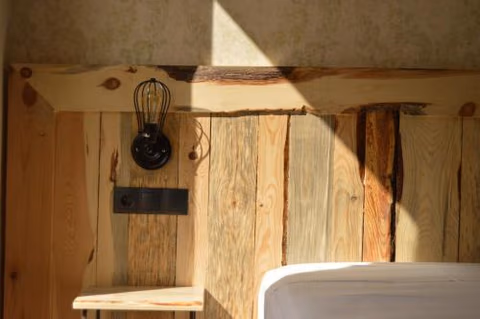 Black Swan Hostel — foto 2