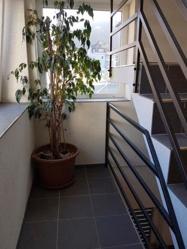 London Apartments — foto 8