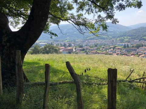 Zubitarte — photo 5