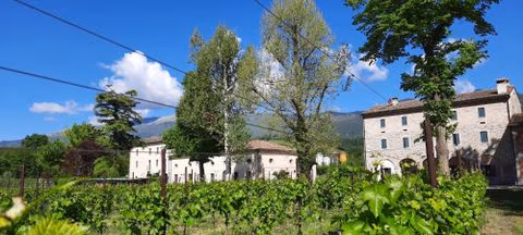 Agriturismo La Bella — foto 9