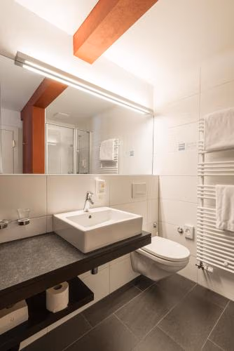 Hotel Alpina Luzern — foto 6