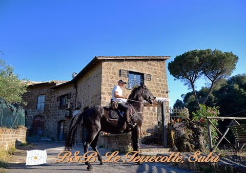 Le Terrecotte — foto 1