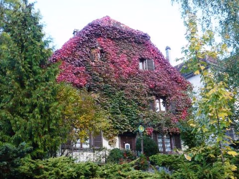 B&B de charme La Maison des 5 Temps — foto 1