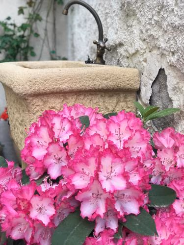 Residence Campanelle 54 — foto 4