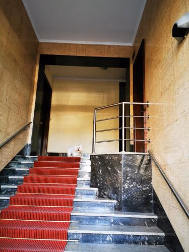 MURAT OTTO — photo 3