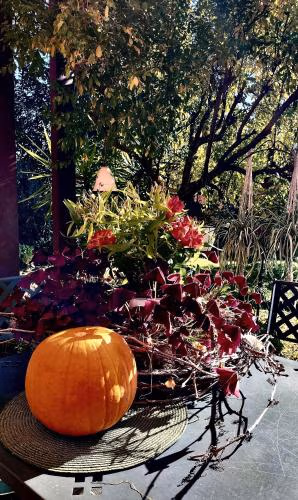 B&B Terre Di Bea — photo 8