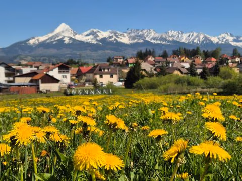 Apartmány Anička vo Važci — foto 3