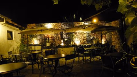 Gastehaus Weingut Rossler — photo 5
