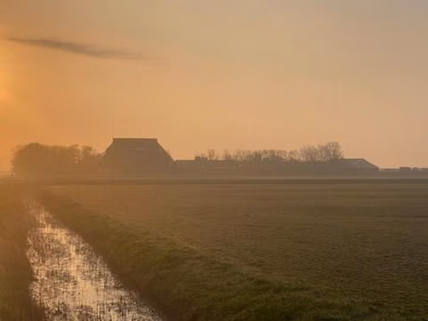 Duintentje — foto 5