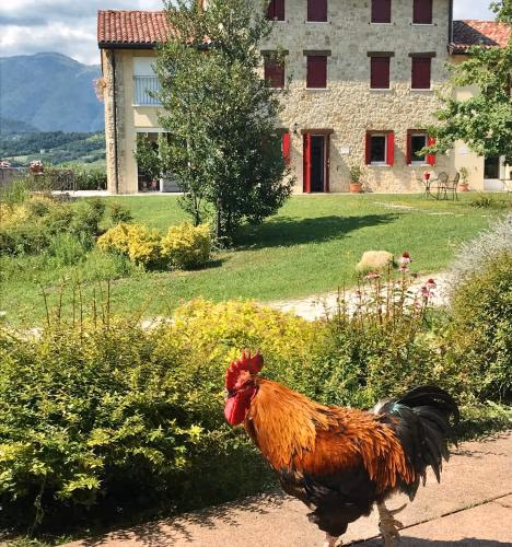 Agriturismo Lemire — foto 9