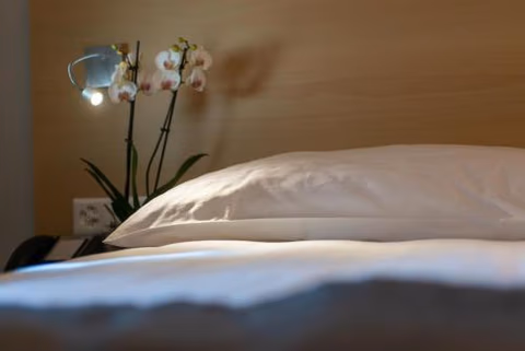 Hotel des Alpes — foto 5