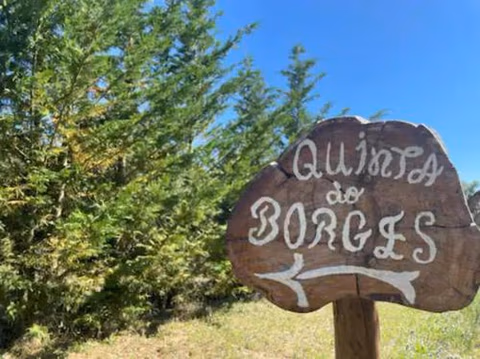 Quinta do Borges — photo 2