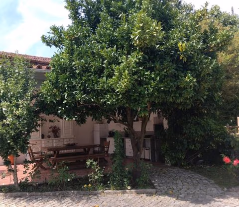 Casa da Câmara — foto 8