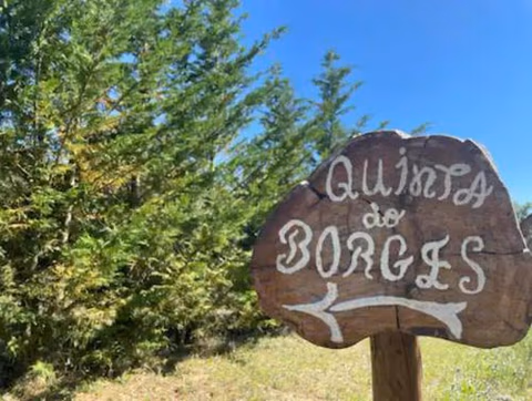 Quinta do Borges 2 — foto 3