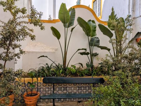 Hotel Solar de Monfalim — foto 6