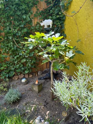 La Capucine — foto 6