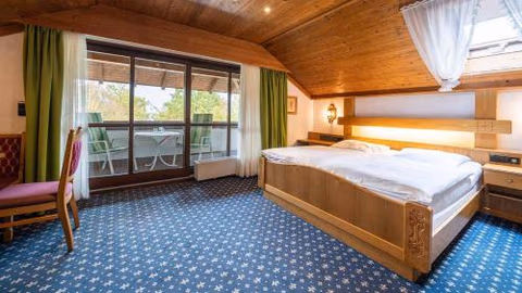 Hotel Alpina — foto 5