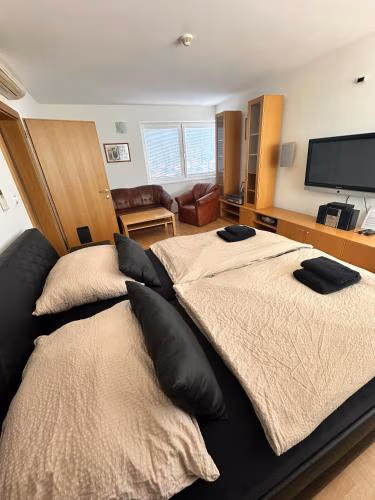 Hotel Muza — photo 4