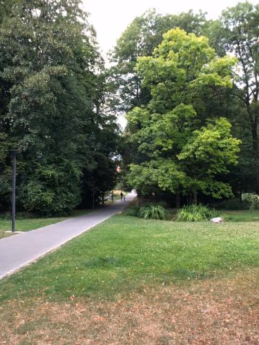 Hotel Bilger Eck — foto 6