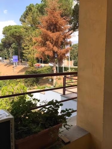 Hotel Ebe — foto 3