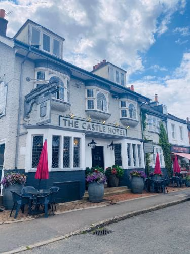 Castle Hotel — foto 6