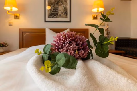 Hotel Alekto — foto 8