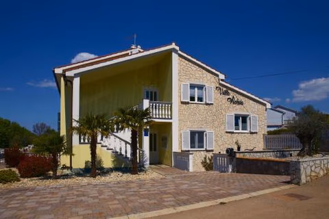 Bruno — foto 9