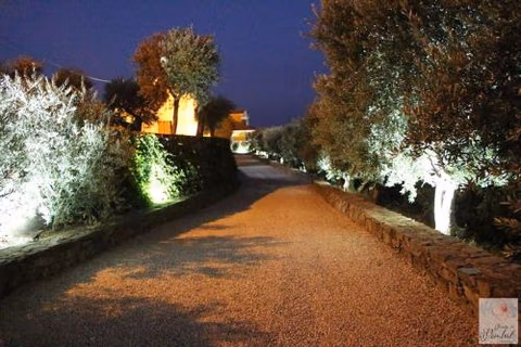 Quinta do Pombal - Douro - Camila's — foto 6