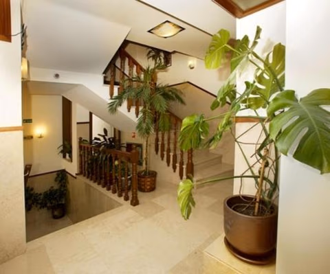 Hotel Mira Rio — foto 7