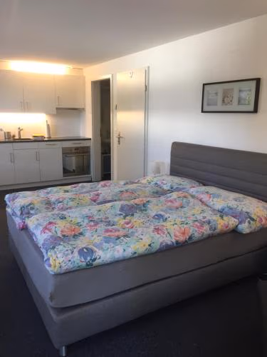 FeWo-Studio Linde — foto 1