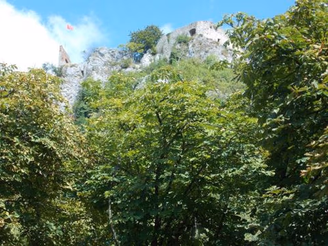 Chambres d'Hôtes Le Felseneck — foto 9