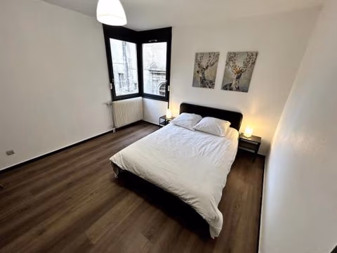 Le Puy en Velay - Appartement grand confort — foto 6
