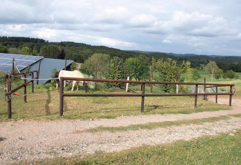Ferienwohnung Roderath — foto 5