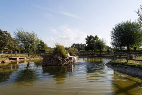 La Noria — foto 3