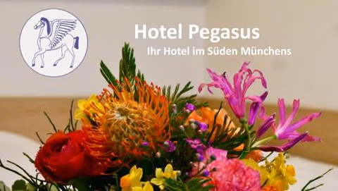 Hotel Pegasus — foto 9