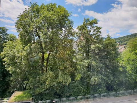 Waldshut-Zentrum — foto 5